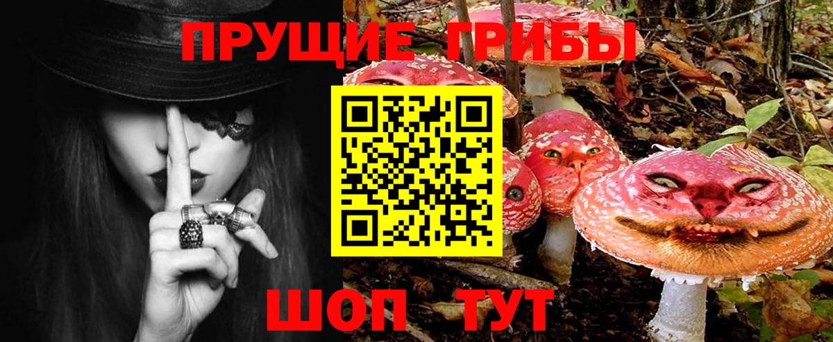 Будённовск  Галлюциногенные грибы ЛСД  Вход с VPN 